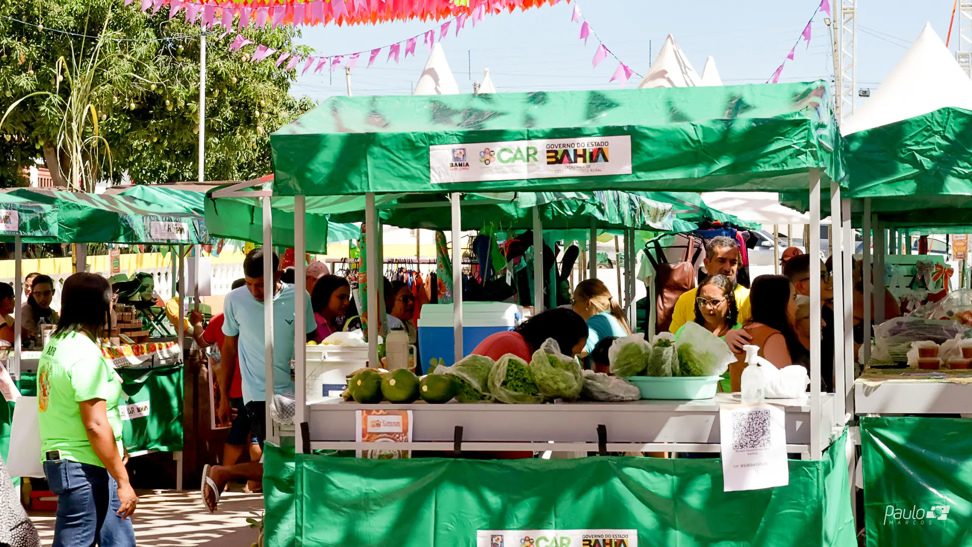 Feira, comercialização e valorização da agricultura familiar